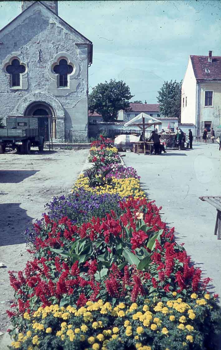 Cvjetna gredica na varaždinskoj tržnici